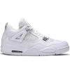 Air Jordan 4 Retro '25th Silver Anniversary' 408202-101