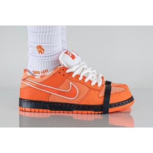 Concepts x Dunk Low SB 'Orange Lobster' FD8776-800