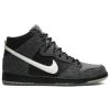 Dunk High SB Premier 'Petoskey' 645986-010