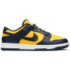 Dunk Low 'Michigan' 2021 DD1391-700