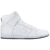 SB Dunk High Pro 'White Ice' 305050-113