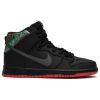 SPoT x SB Dunk High Pro 'Gasparilla' 313171-028
