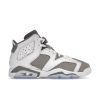 Air Jordan 6 Retro GS 'Cool Grey' 384665-100