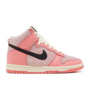 Wmns Dunk High 'Hoops' DX3359-600