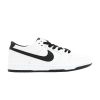 Dunk Low Pro SB 'Ishod Wair' 819674-101