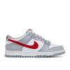Dunk Low GS 'Grey Red' DV7149-001