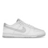 Dunk Low 'Pure Platinum' DV0831-101